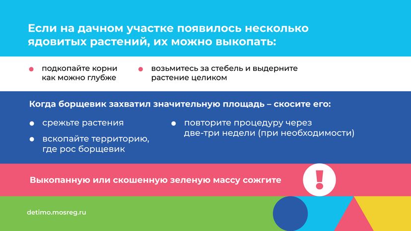 Горизонталь_Борщевик Сосновского_09.png