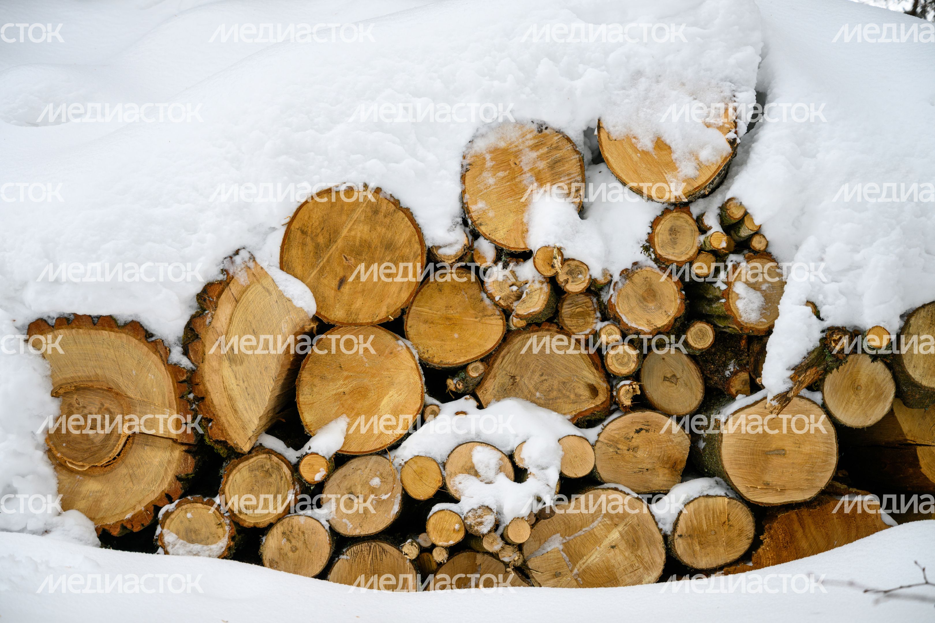 Зима в музее-заповеднике «Усадьба Мураново» Пушкинского округа