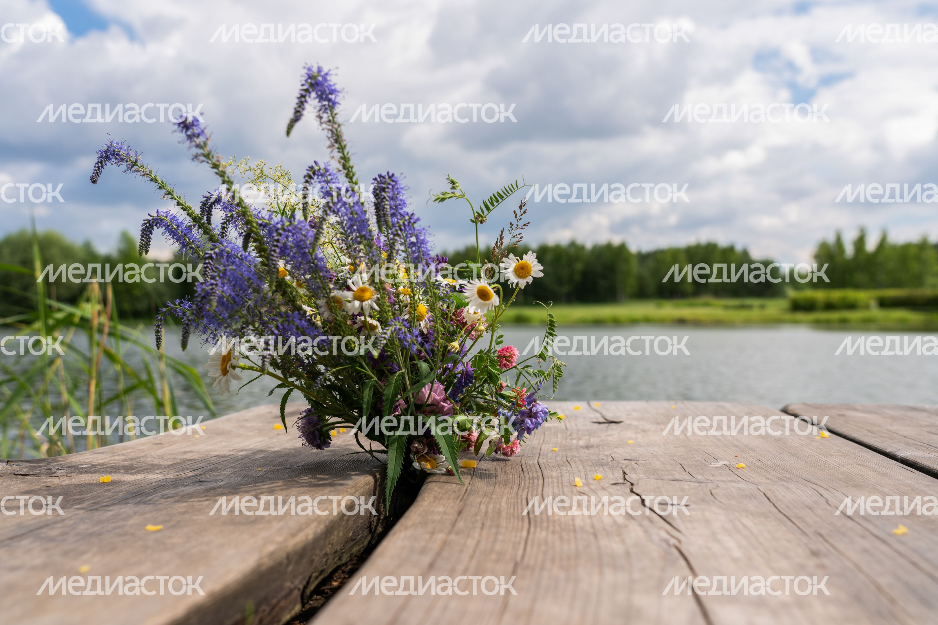 Мещерский парк летом