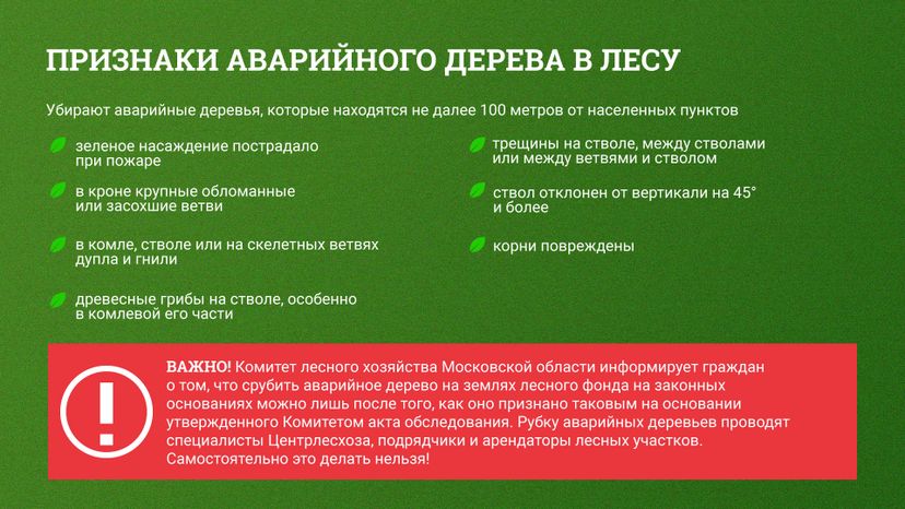 Аварийные деревья