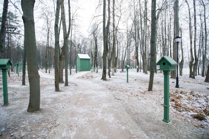 Раменское. Городской парк культуры и отдыха. Зима