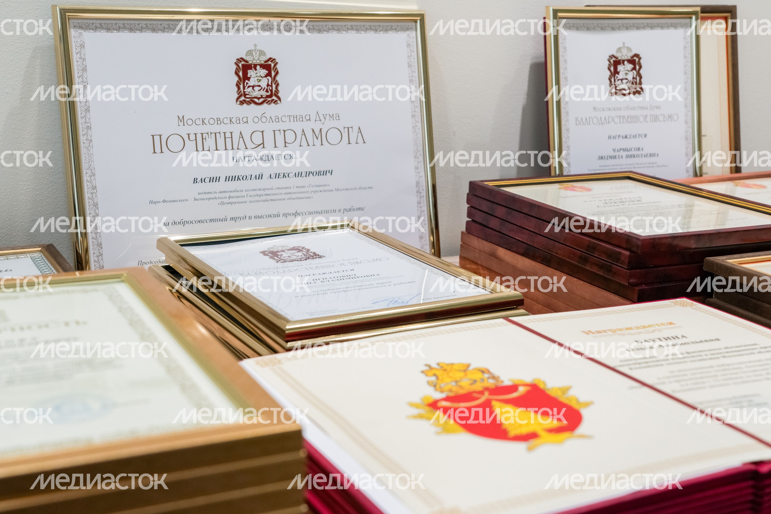 Комитет лесного хозяйства Московской области отметил 12-летие