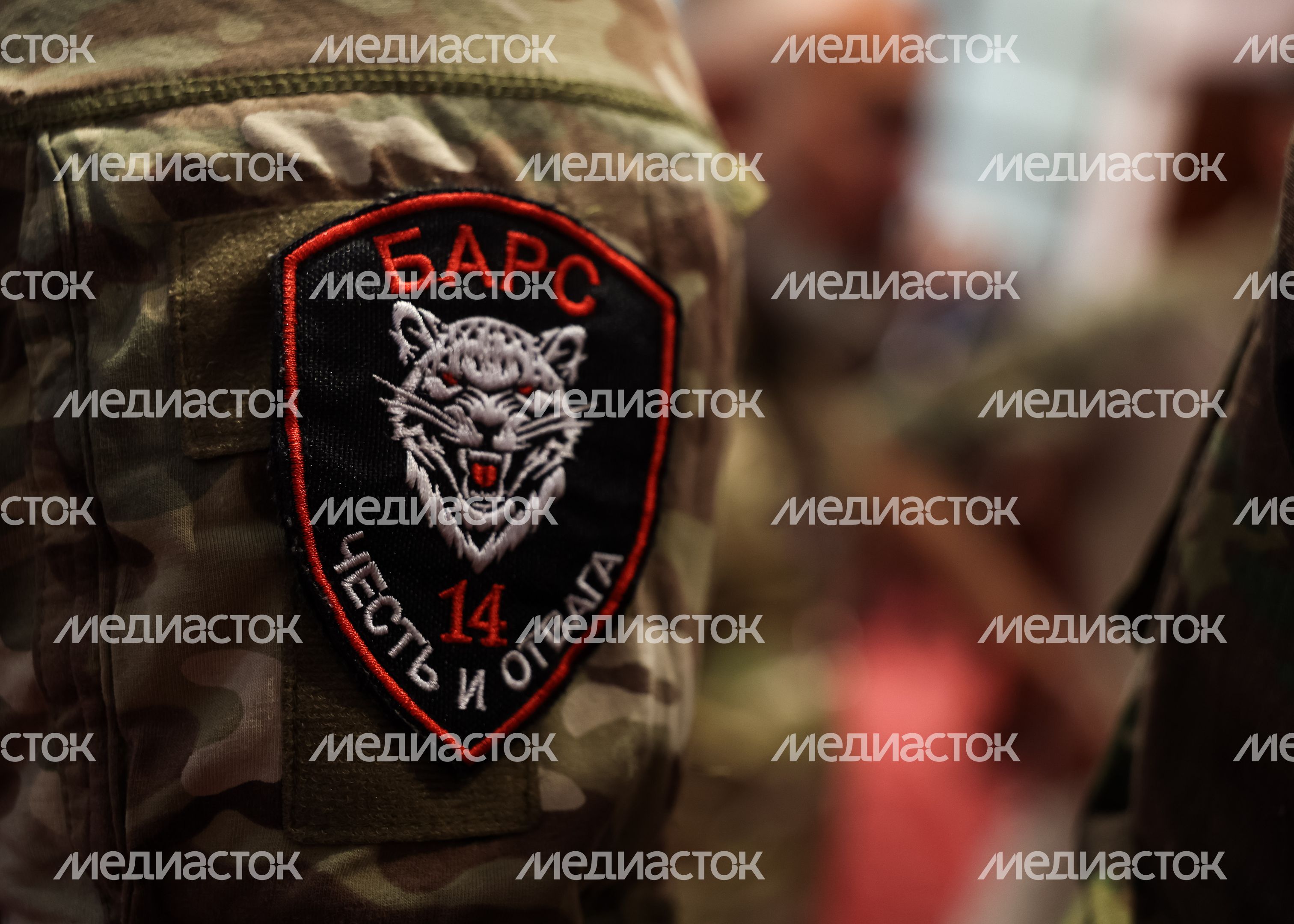 Бойцы отряда БАРС получили государственные награды Бойцы отряда БАРС получили государственные награды