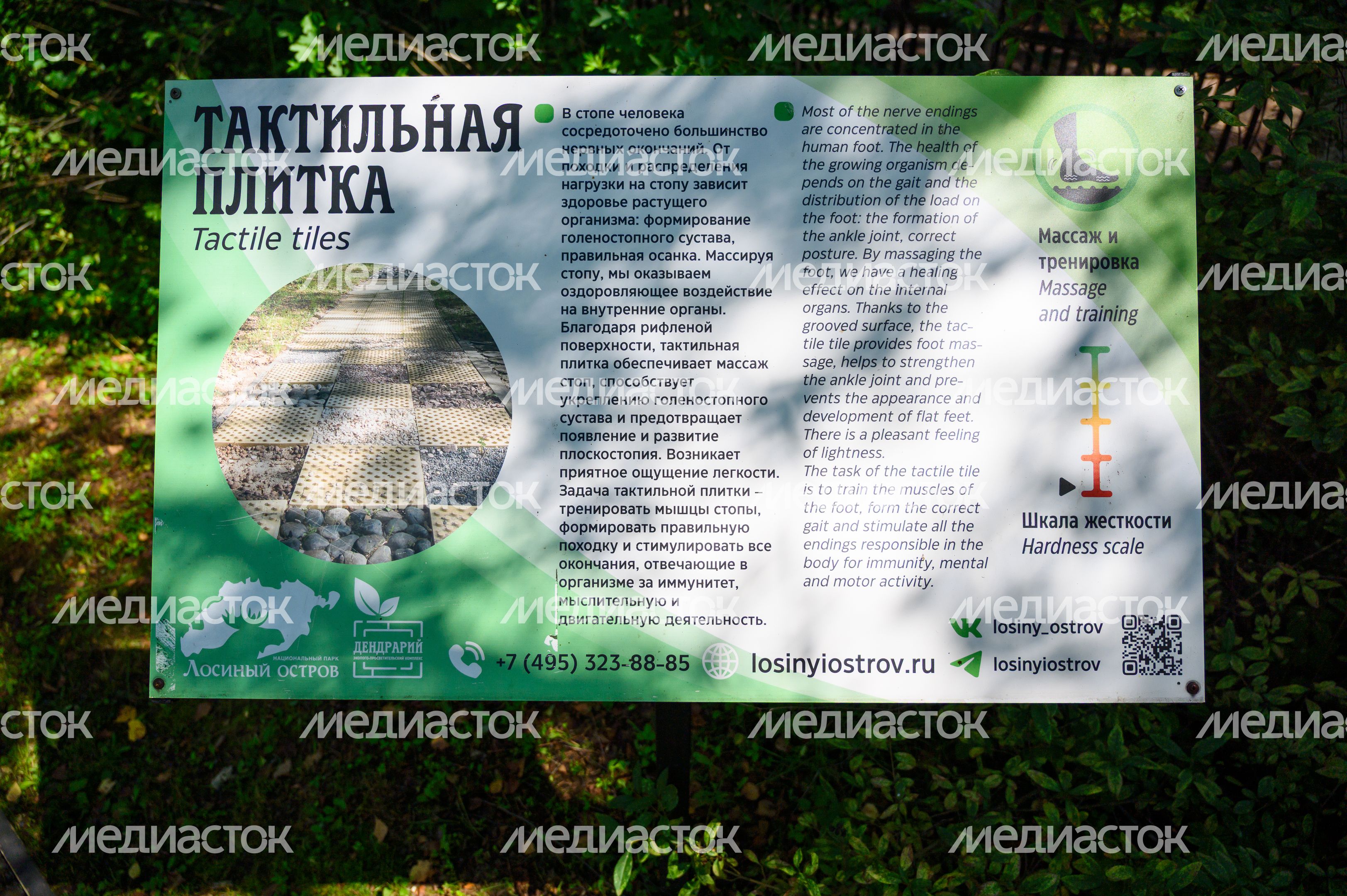 Эколого-просветительский комплекс "Дендрарий" в Мытищах Эколого-просветительский комплекс "Дендрарий" в Мытищах