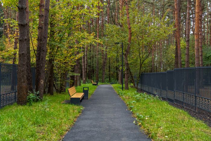 Осень в лесопарке «Городская массовка» в Дедовске округа Истра