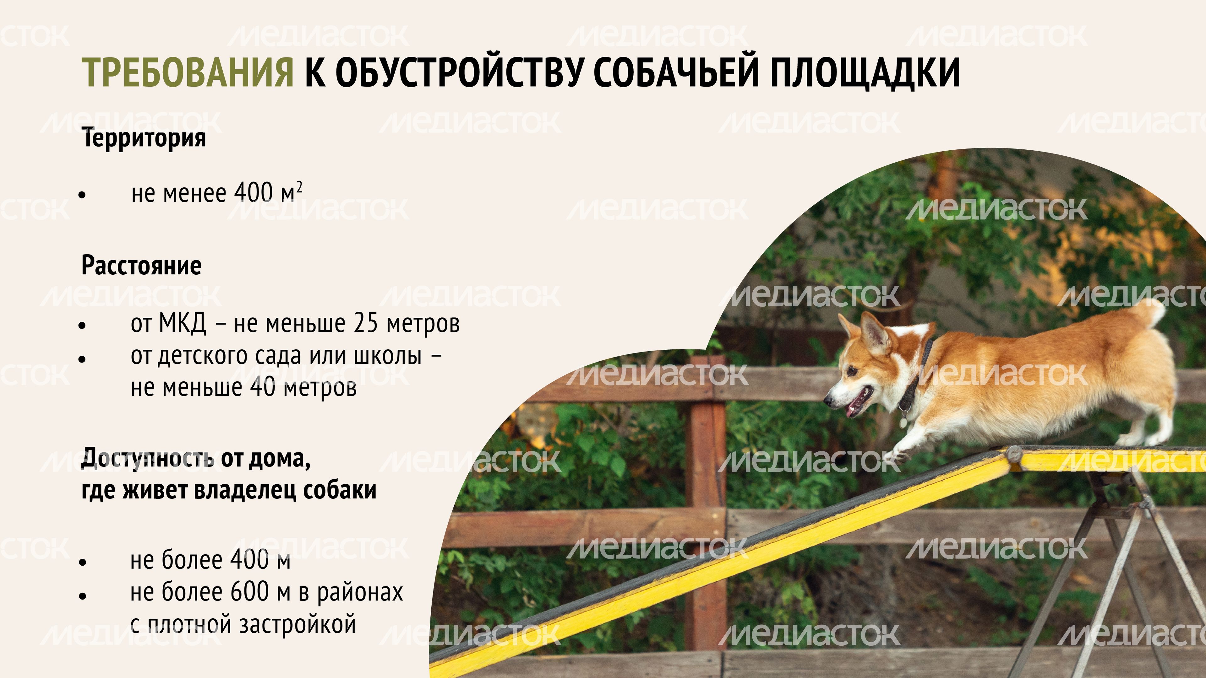 Голосование. Собачьи площадки-09.jpg