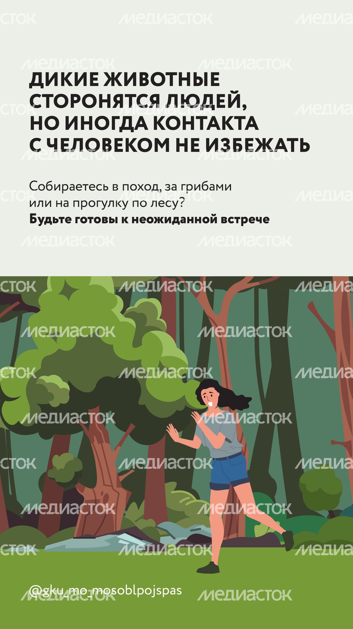 Вертикаль Безопасность в лесу 02.jpg