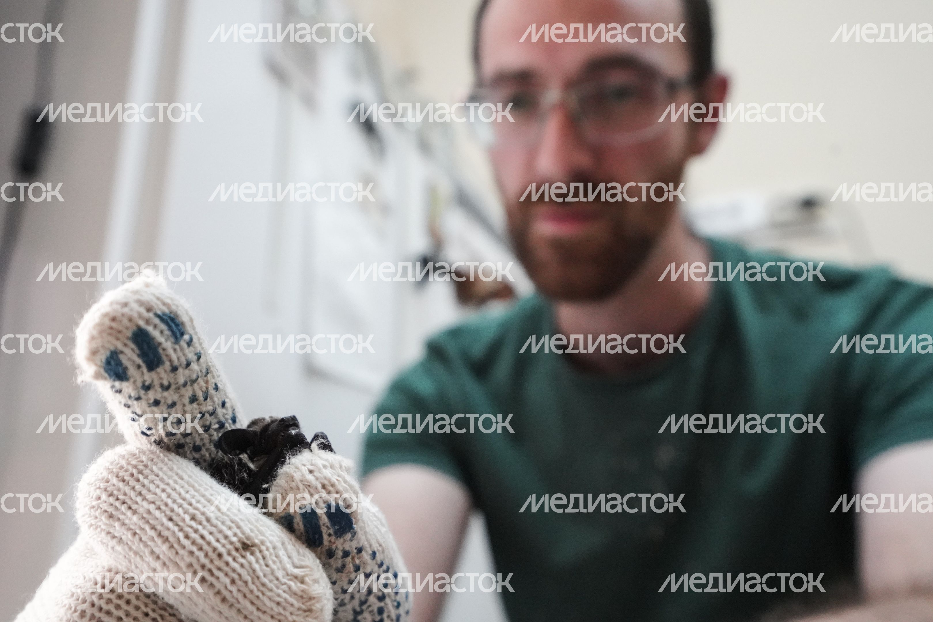 Центр реабилитации рукокрылых в Москве Центр реабилитации рукокрылых в Москве
