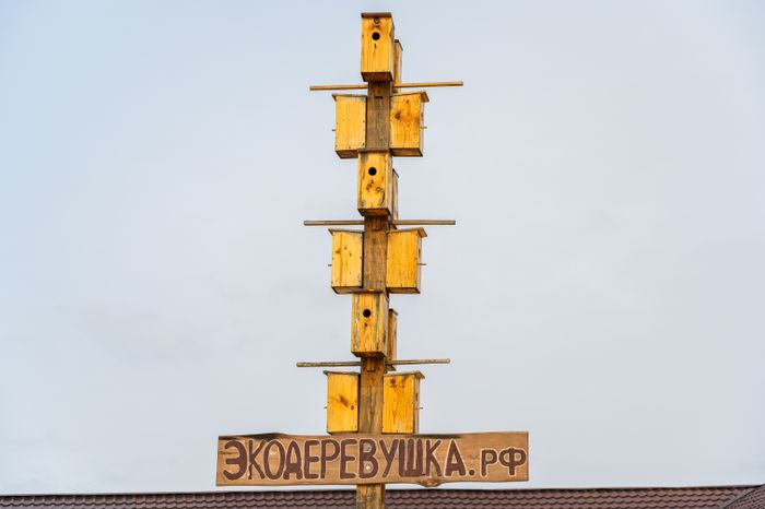 Ферма "ЭкоДеревушка" в Коломне