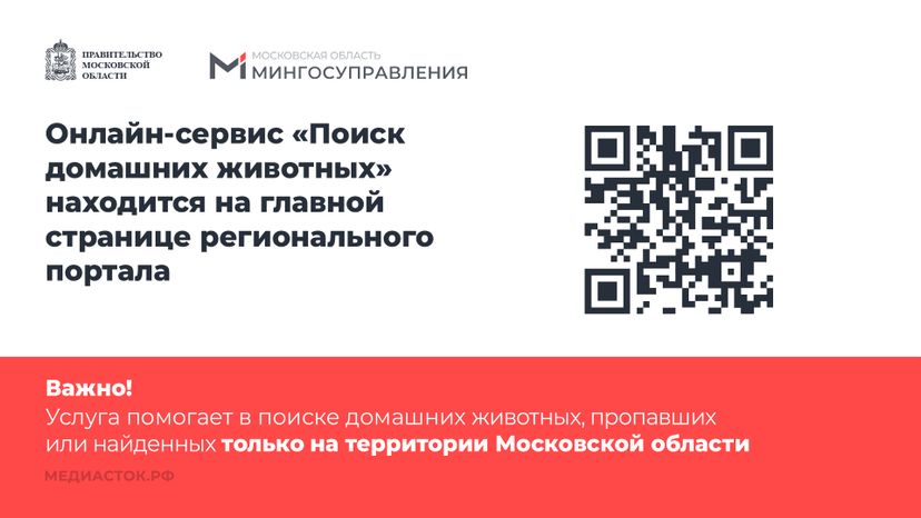 Домашние животные горизонталь 03