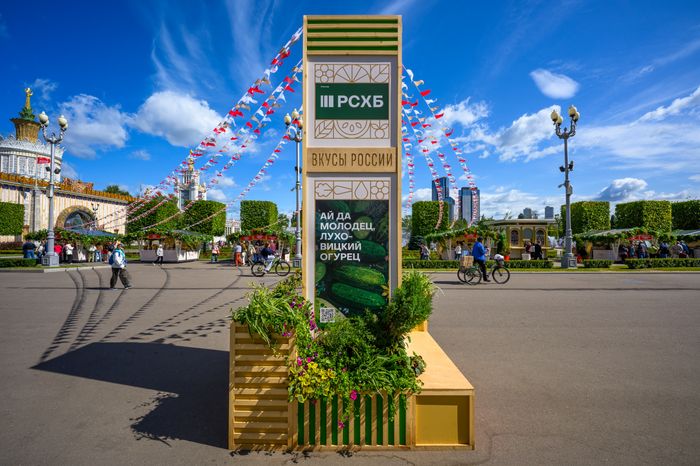 Ярмарка продуктов питания, произведенных в Подмосковье, на гастрономическом фестивале «Вкусы России» 2026 на ВДНХ