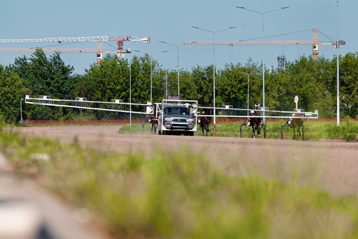 Рысистые бега на Раменском ипподроме
