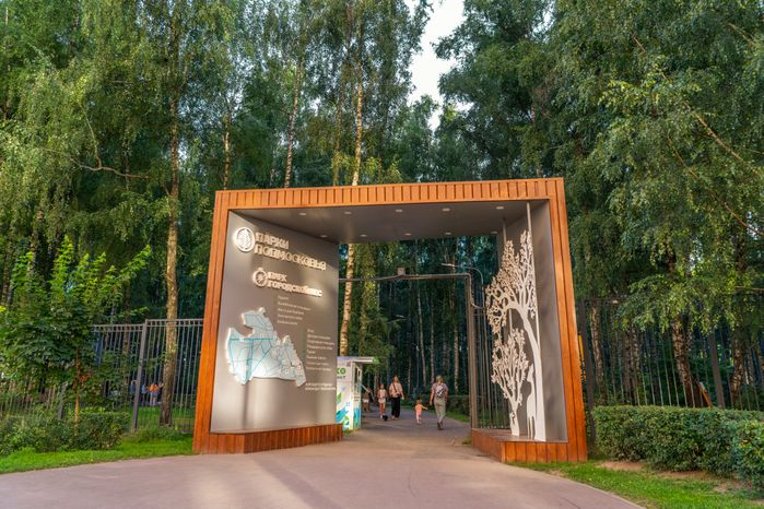 Лето в лесопарке «Городской лес» в Домодедово