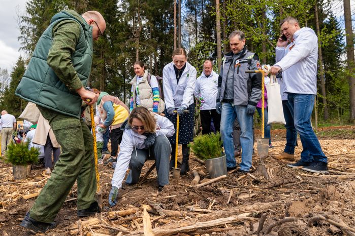 Деревья высадили в Рузском округе в рамках акции «Сад Памяти» ко Дню Победы