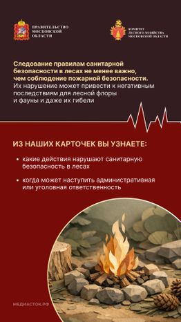 Санитарная безопасность в лесах вертикаль 02