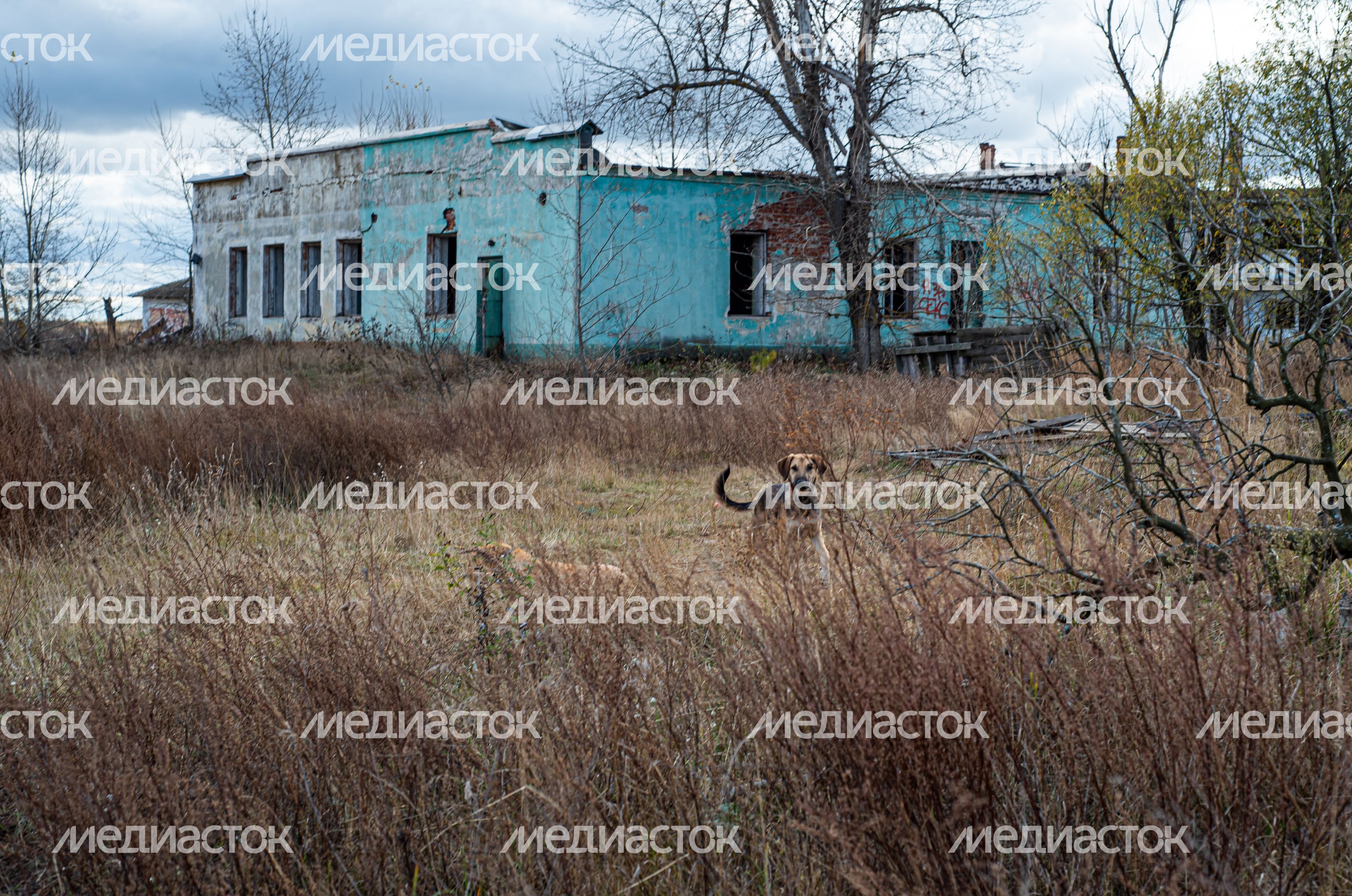 Заброшенная деревня Моховое