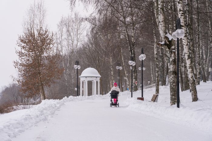 Клин. Парк культуры и отдыха «Сестрорецкий». Зима