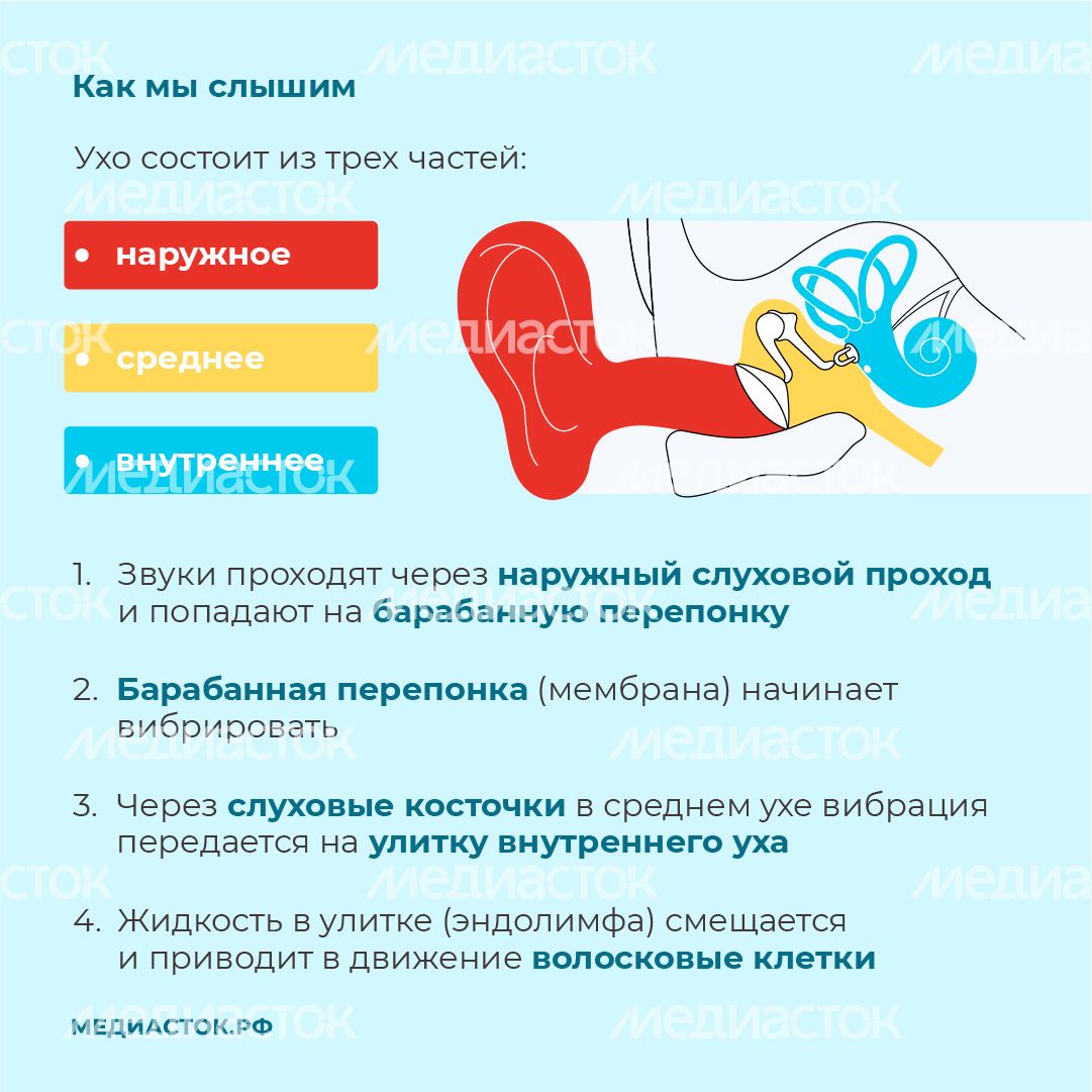 Могут ли наушники привести к тугоухости квадрат 03 Могут ли наушники привести к тугоухости квадрат 03