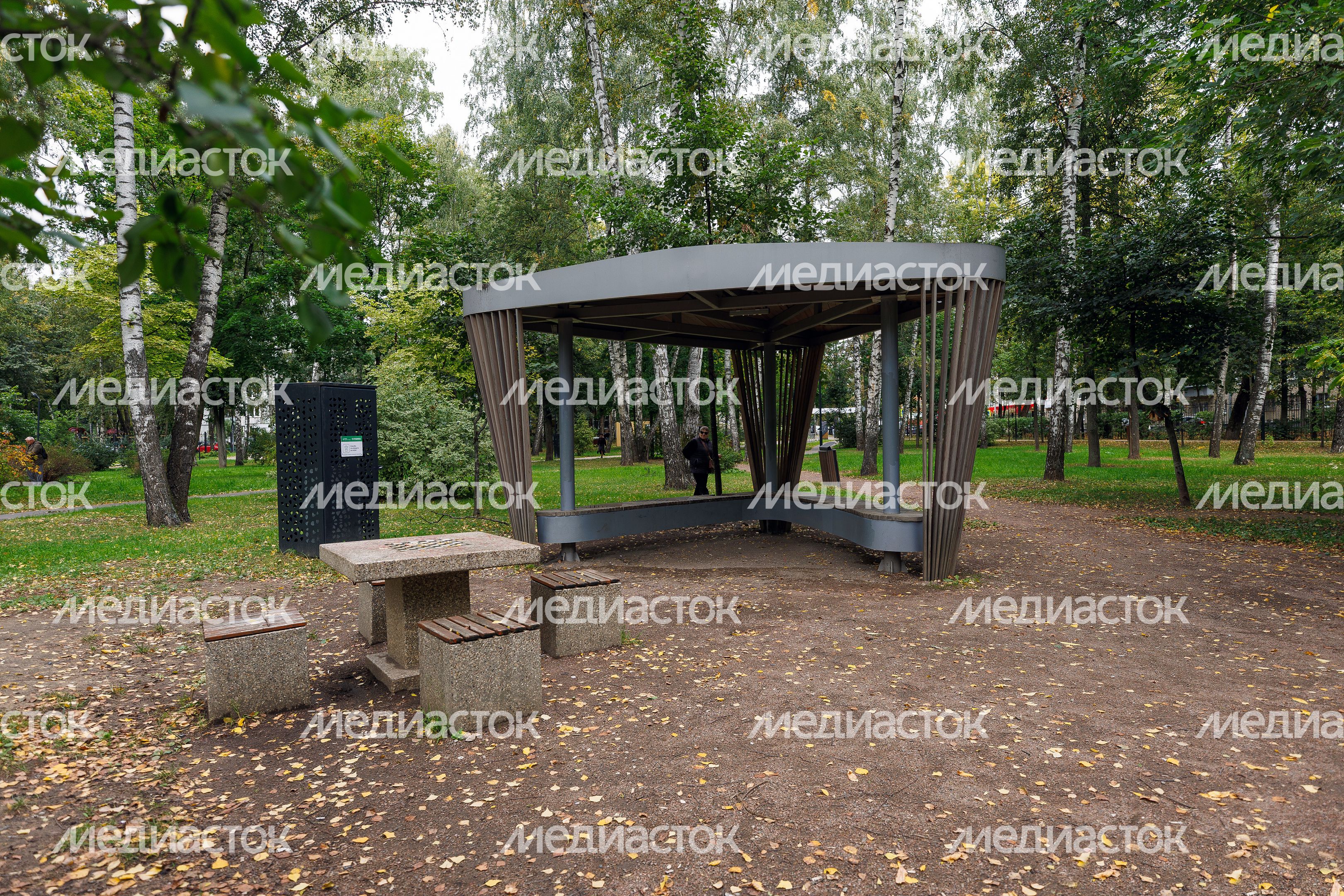 Центральный парк культуры и отдыха Пушкино Центральный парк культуры и отдыха Пушкино