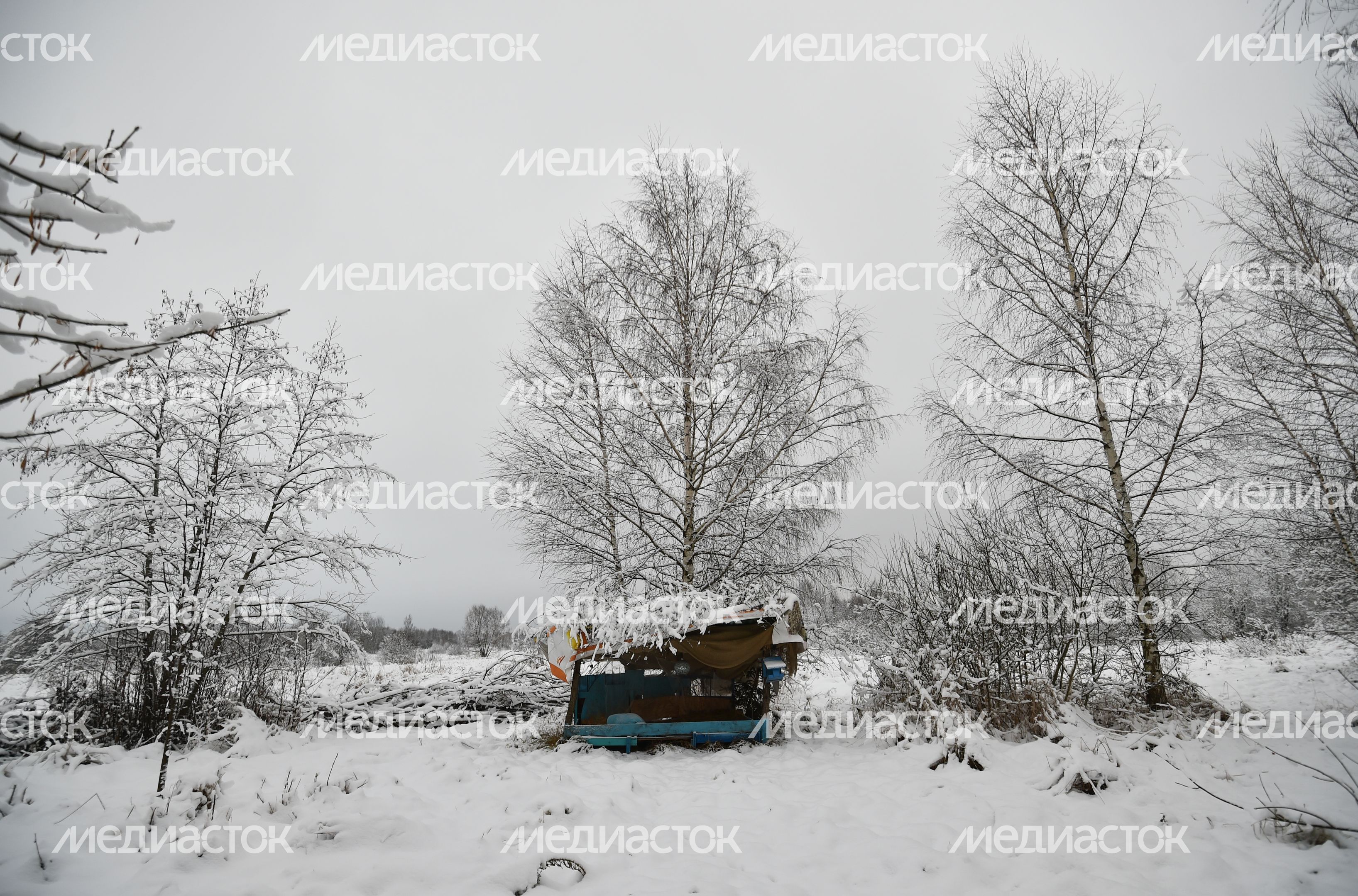 Подмосковный коливинг «Дача Бородино»