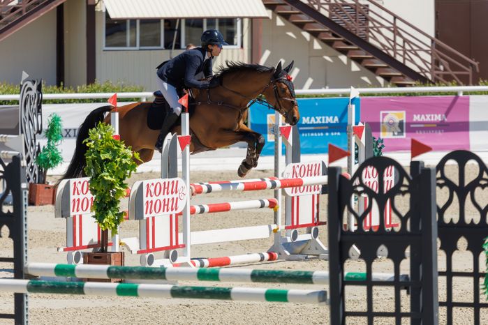 Конноспортивные Евразийские игры по конкуру 2026 в Maxima Park Дмитровского округа