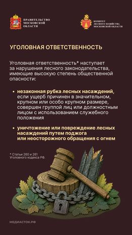 Самовольный захват и использование лесных участков вертикаль 06