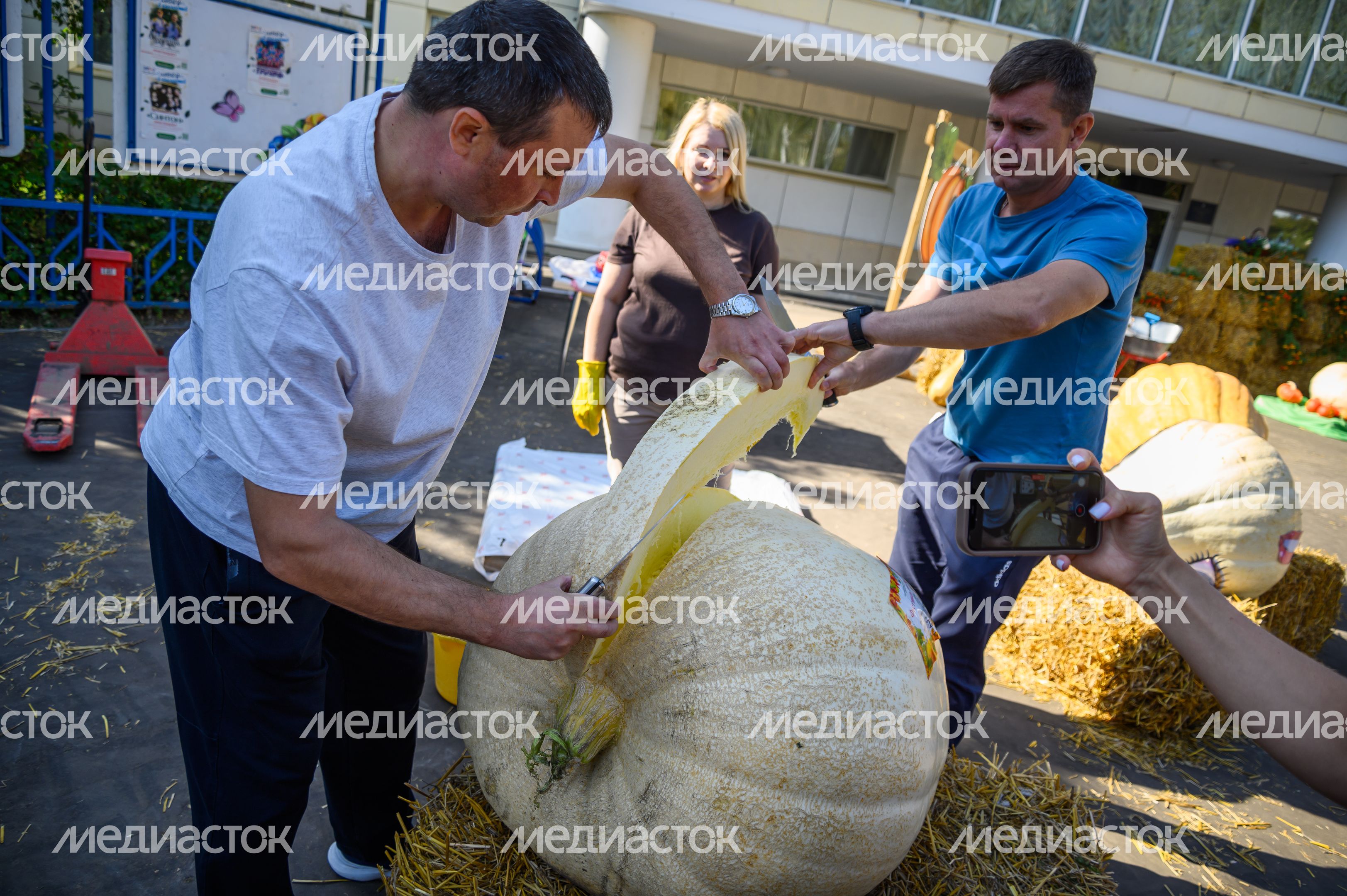 Выставка-ярмарка «Дары Подмосковья» в Луховицах Выставка-ярмарка «Дары Подмосковья» в Луховицах