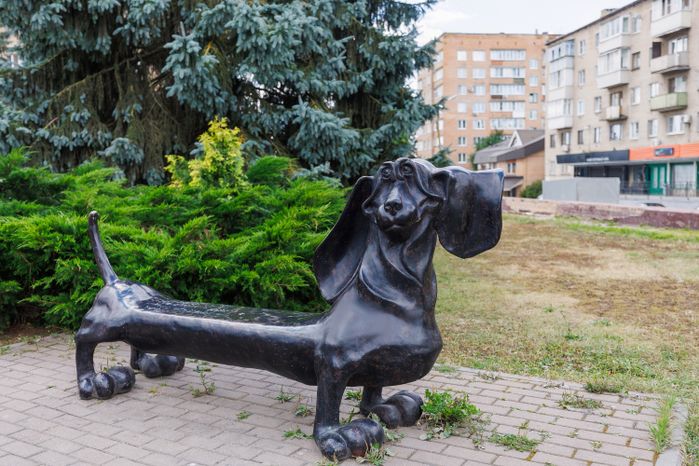 Жанровая скульптура «Такса» в виде лавочки в Воскресенске