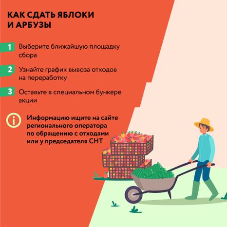 Квадрат_арбузы_03-100.jpg