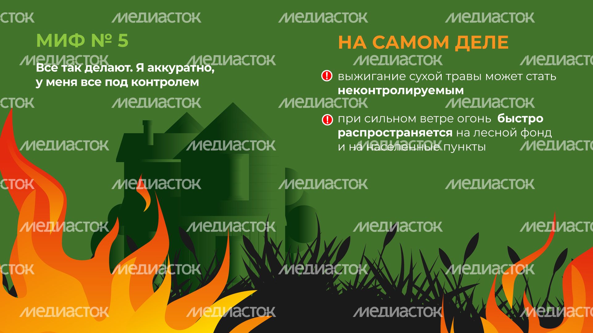 пал_гор_6.jpg