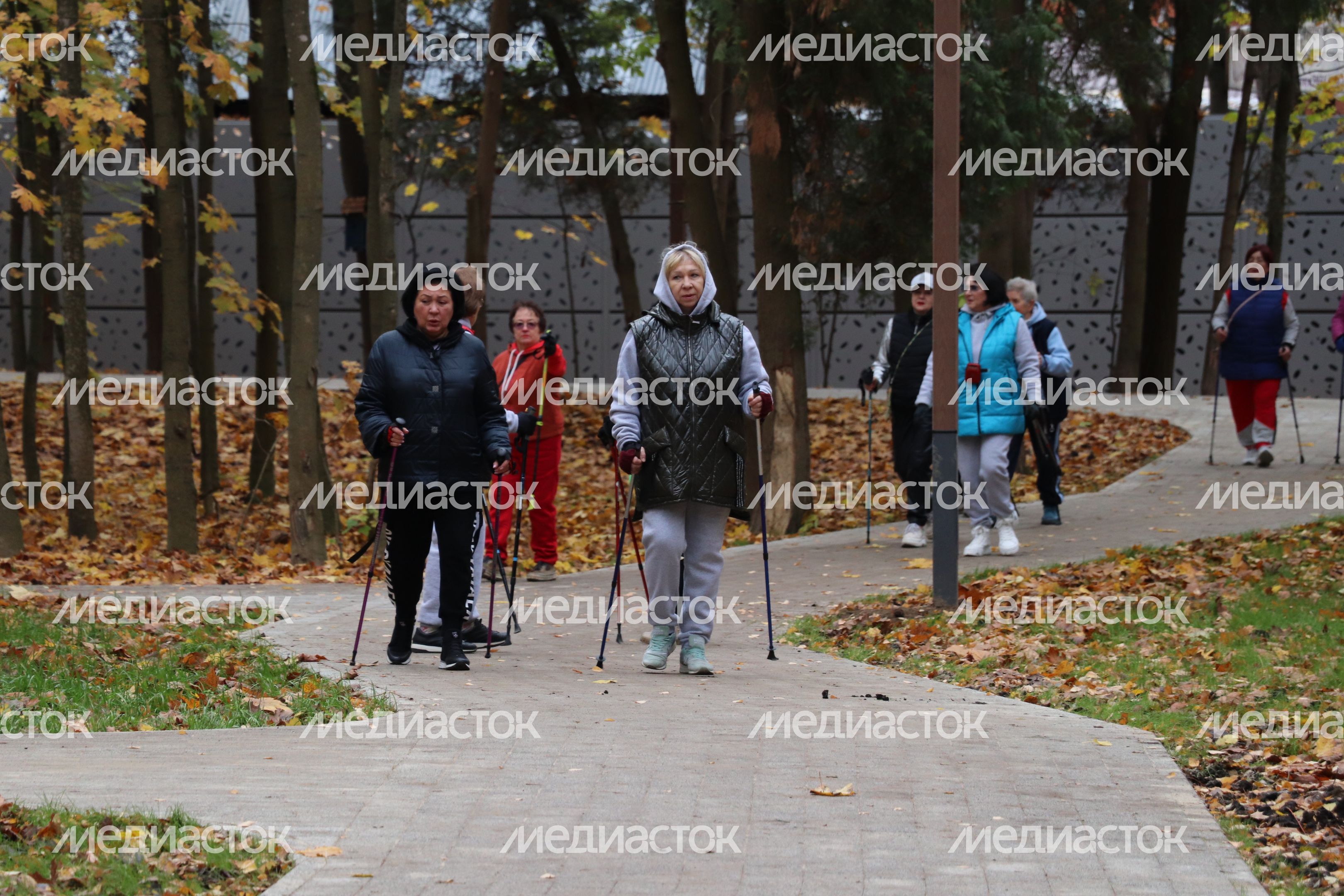 Парк Беличий в Краснознаменске Парк Беличий в Краснознаменске