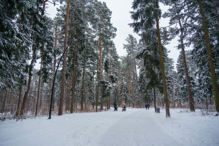 Балашиха. Пестовский парк. Зима