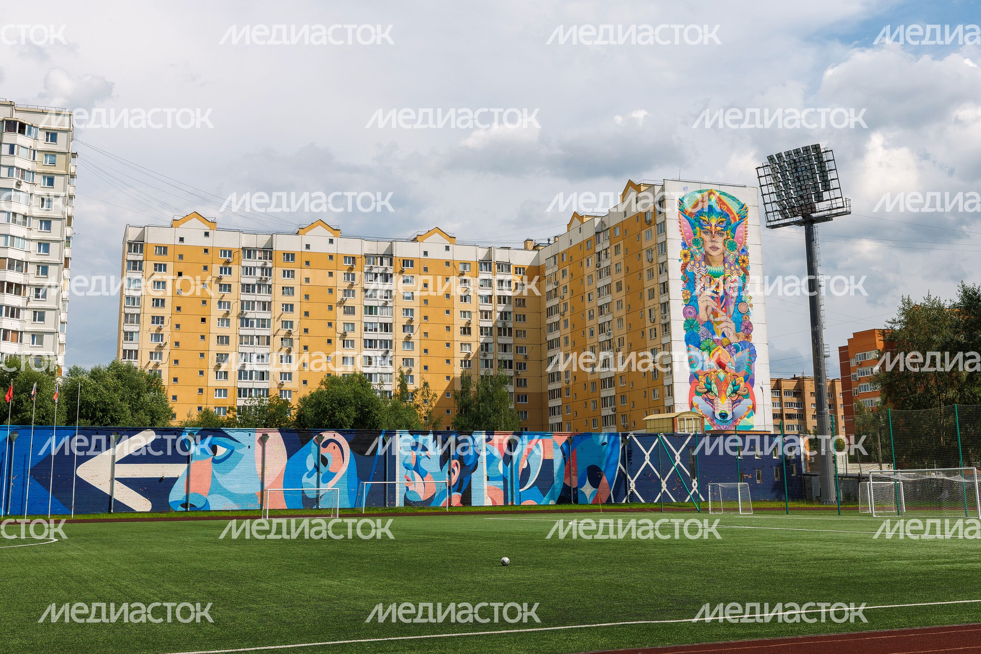 Муралы в Железнодорожном, Балашиха