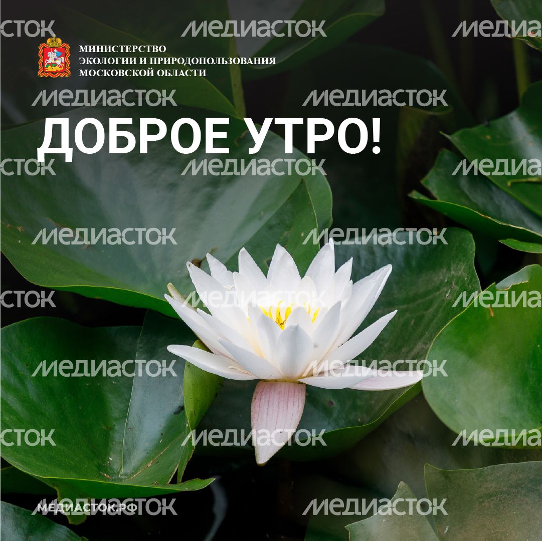 Доброе утро квадрат 02