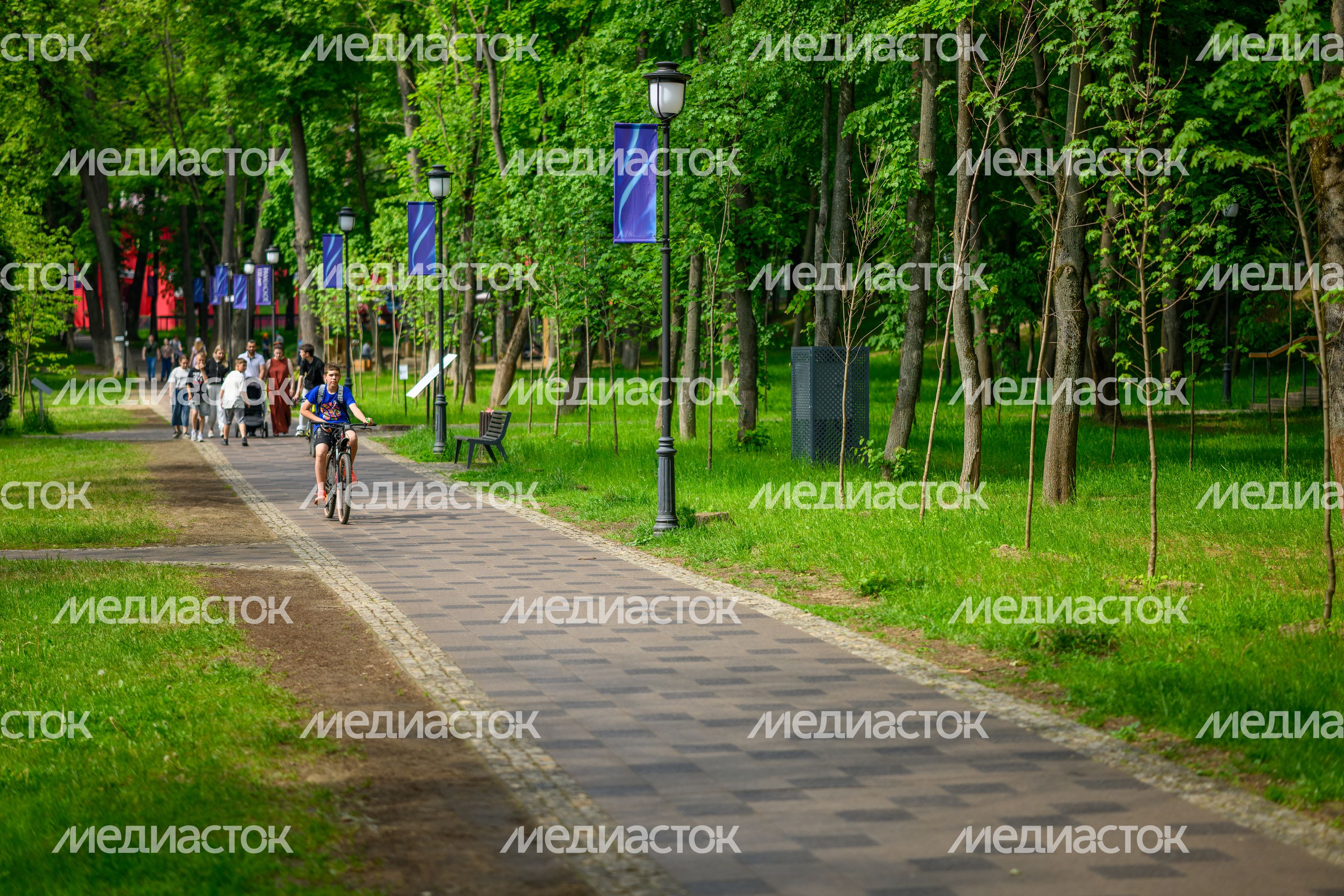 Раменский городской парк культуры и отдыха летом Раменский городской парк культуры и отдыха летом