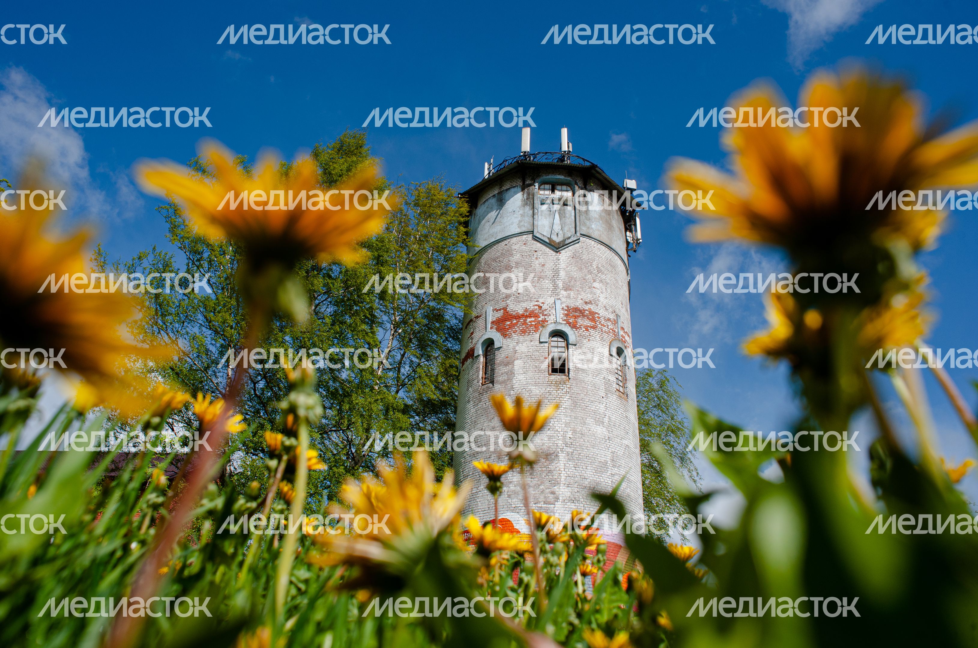 Весенние виды города Хотьково