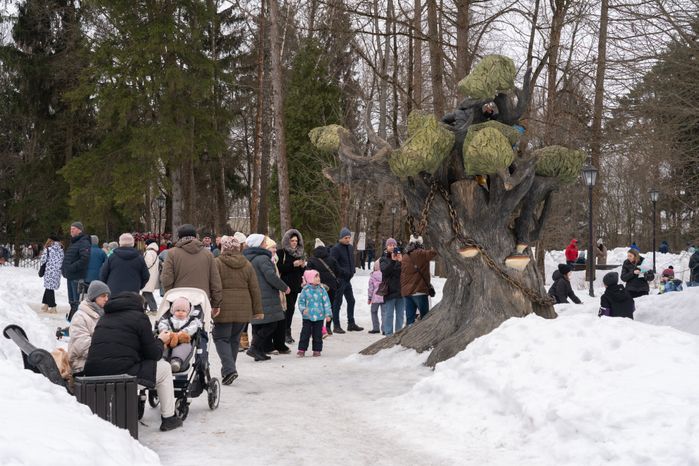 Масленица в парке "Захарово". Одинцовский округ