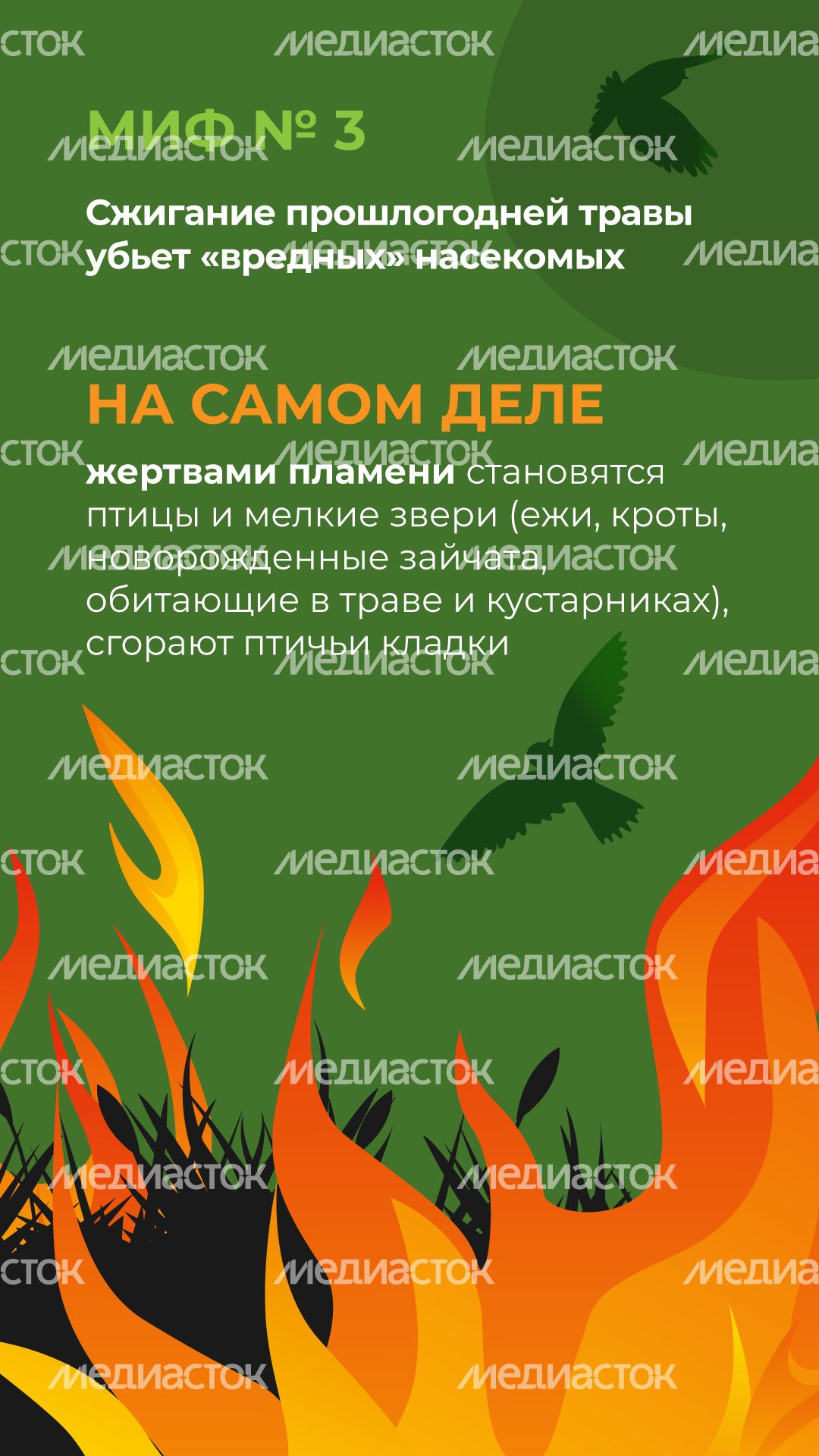 комлесхоз_пал_верт_4.jpg