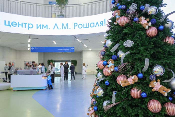 Детский клинический центр им. Л.М. Рошаля