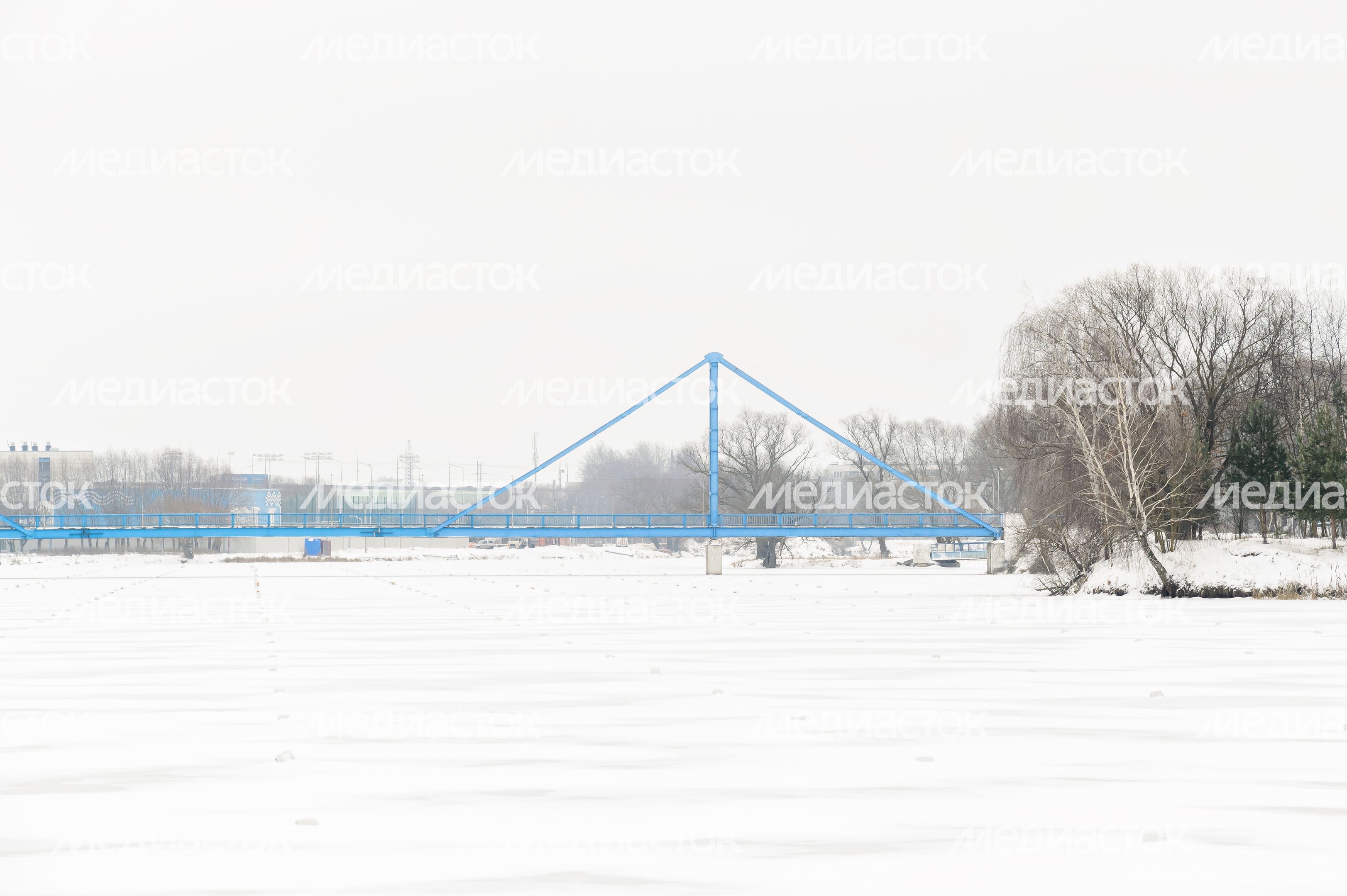 Бронницы. Парк «Бронницкий луг». Зима Бронницы. Парк «Бронницкий луг». Зима