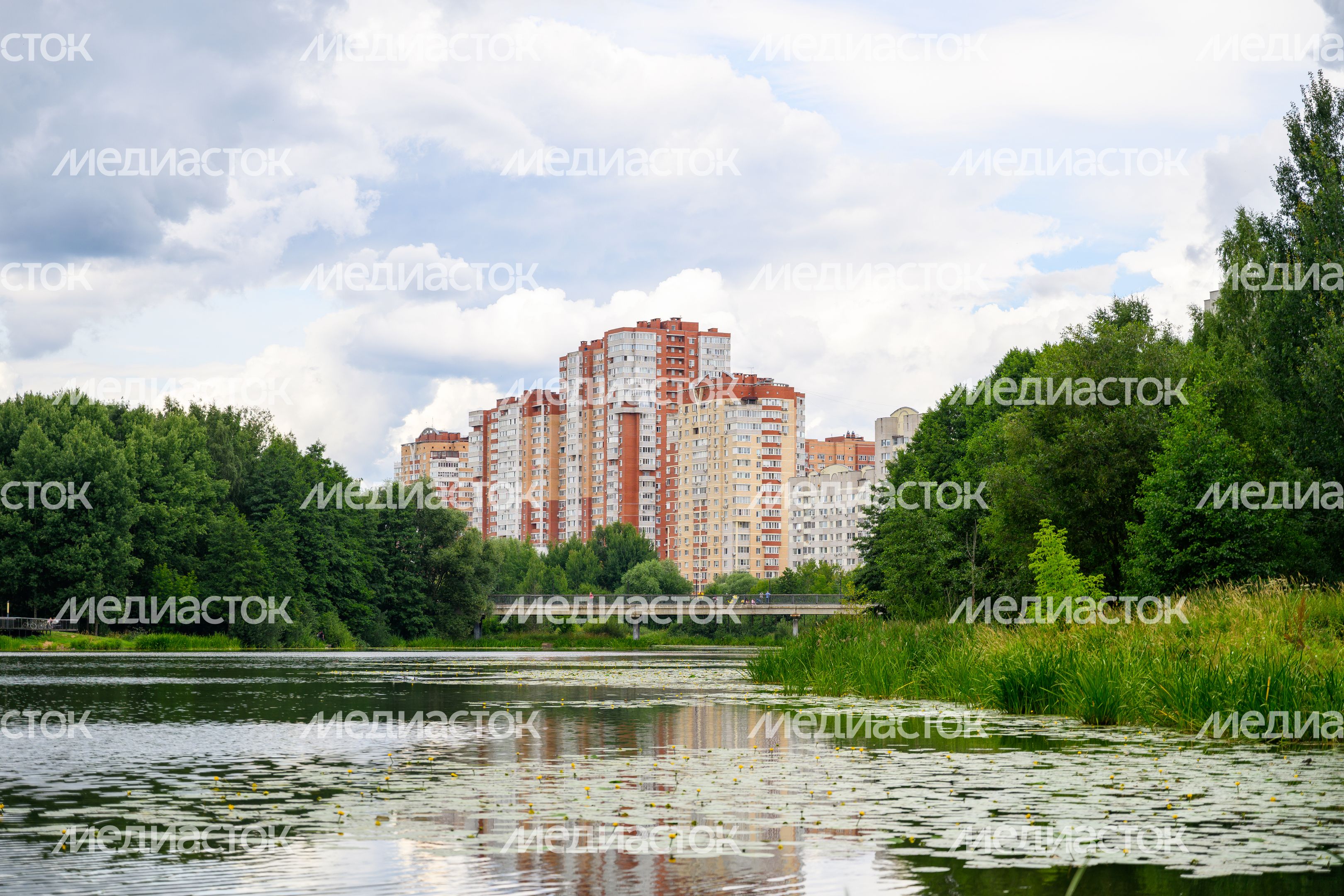 Парк "Заречная" в Балашихе