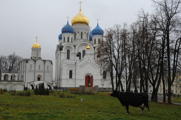 Николо-Угрешский монастырь в Дзержинском