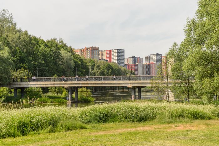 Мост Влюбленных в Балашихе