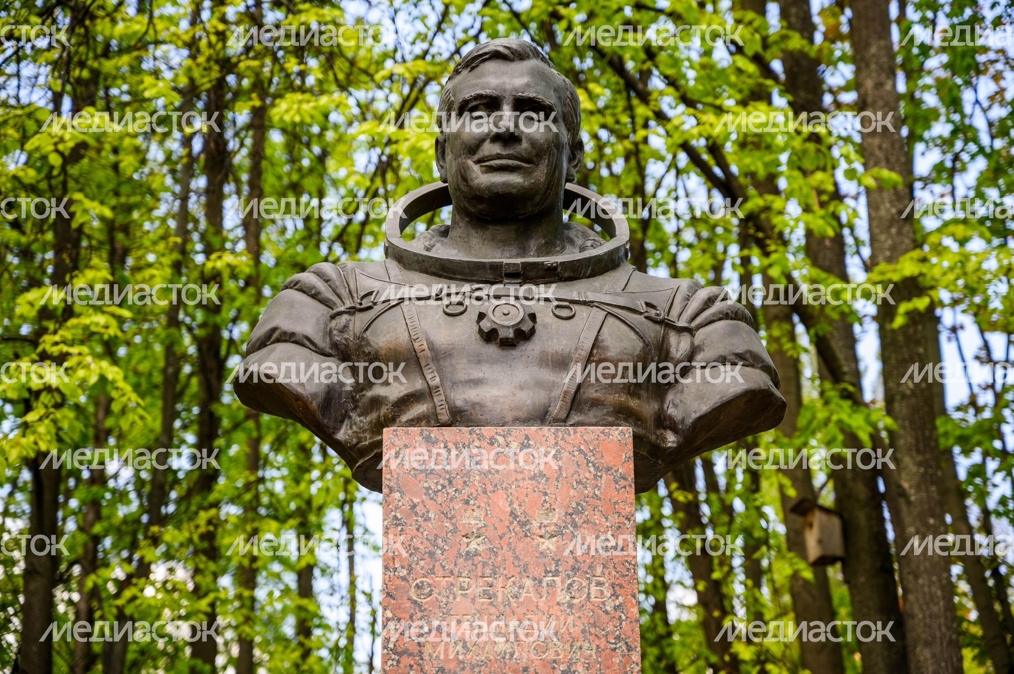Бронзовый бюст дважды Героя Советского Союза, летчика-космонавта Г.М. Стрекалова в Мытищах