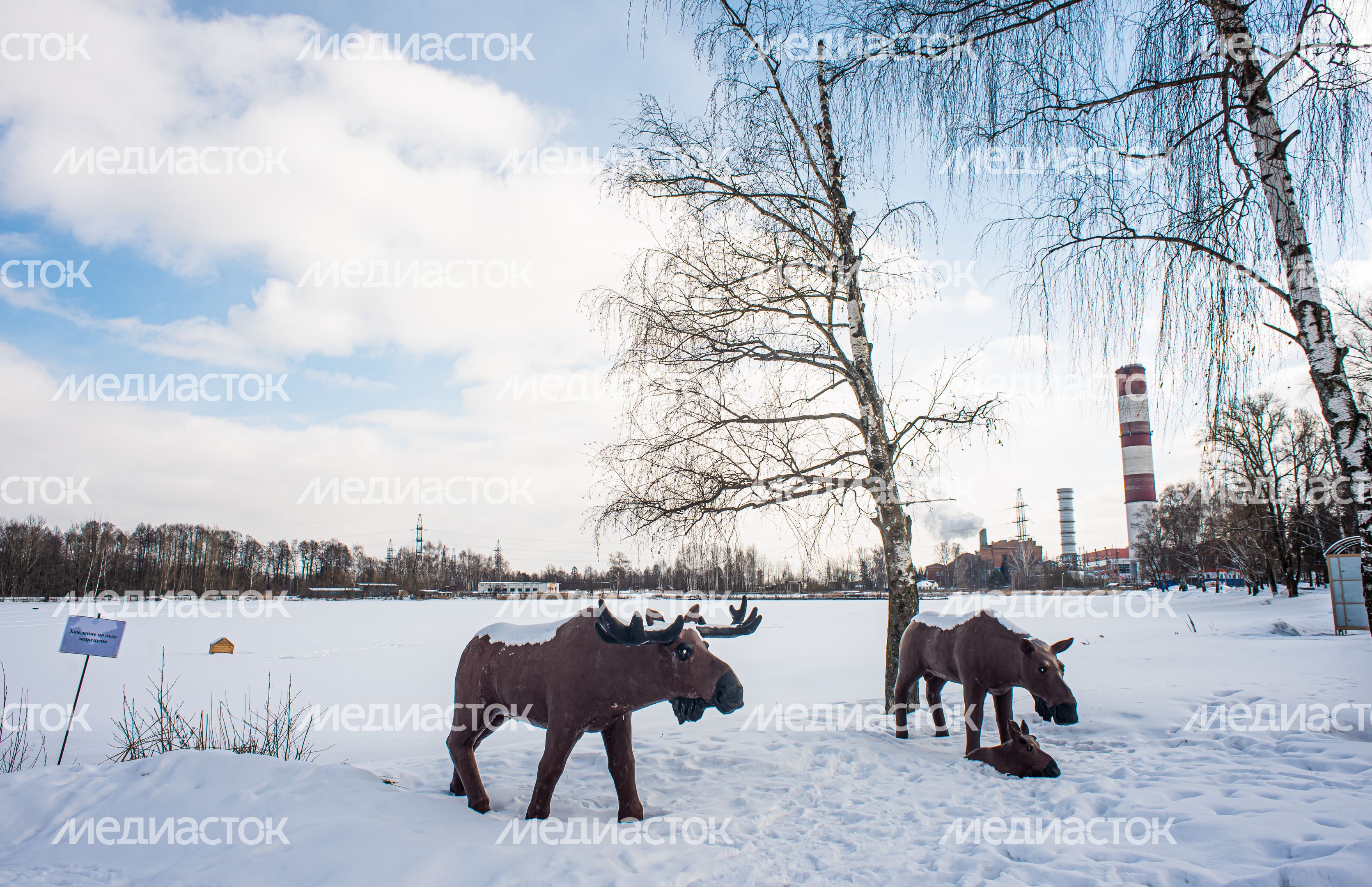 Зимние виды города Электрогорск