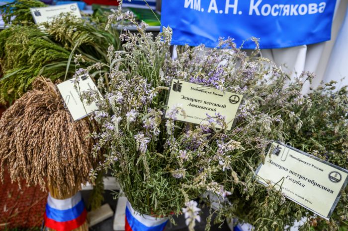 Научно-практический форум "Агрополигон-2024" в Домодедово
