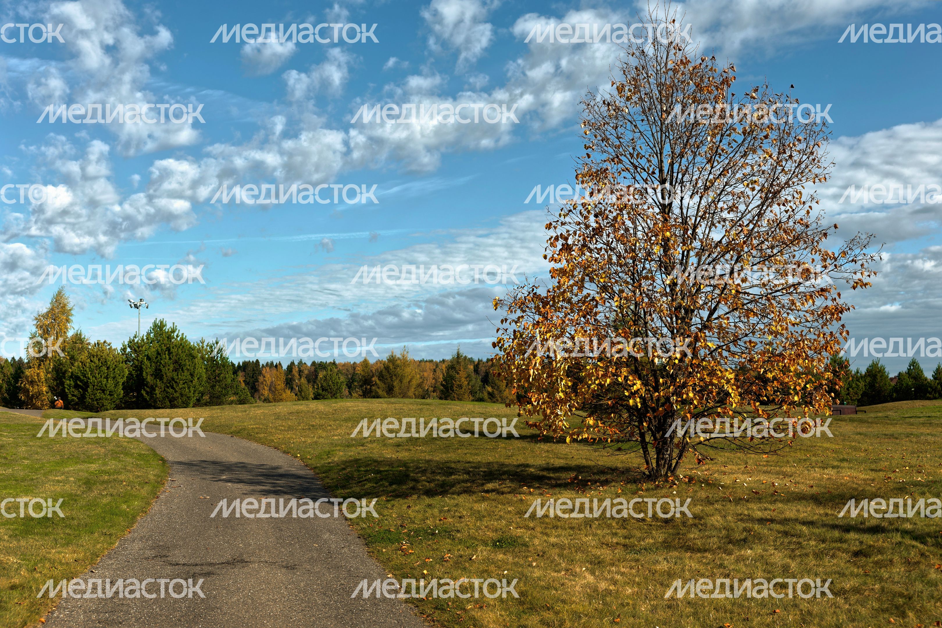 Территория гольф-клуба Dmitrov Golf Resort в Дмитровском округе Территория гольф-клуба Dmitrov Golf Resort в Дмитровском округе