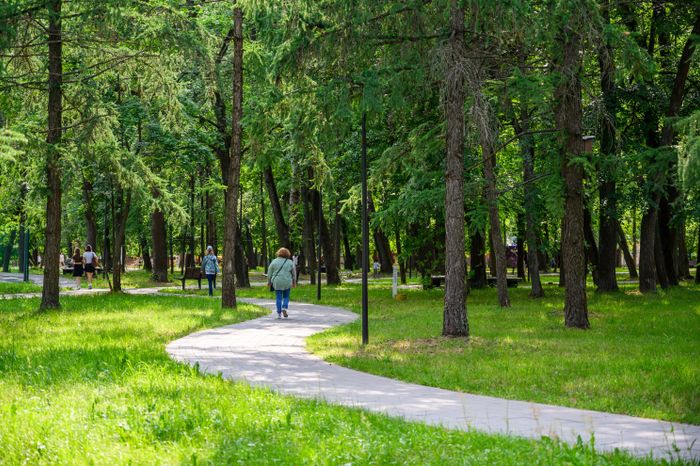 Парк культуры и отдыха им. Олега Степанова в Серпухове летом