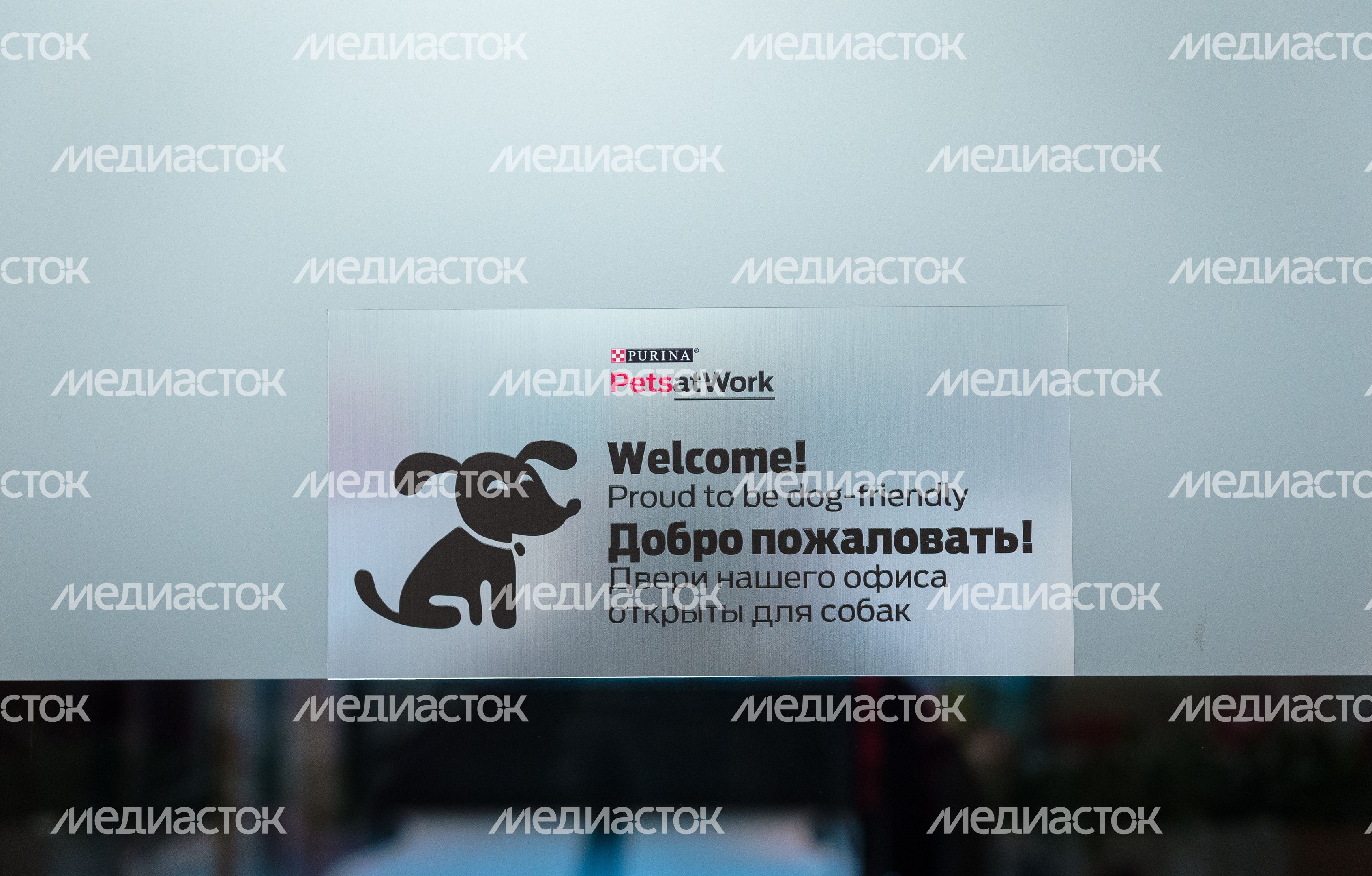 Pet‑friendly офис Purina