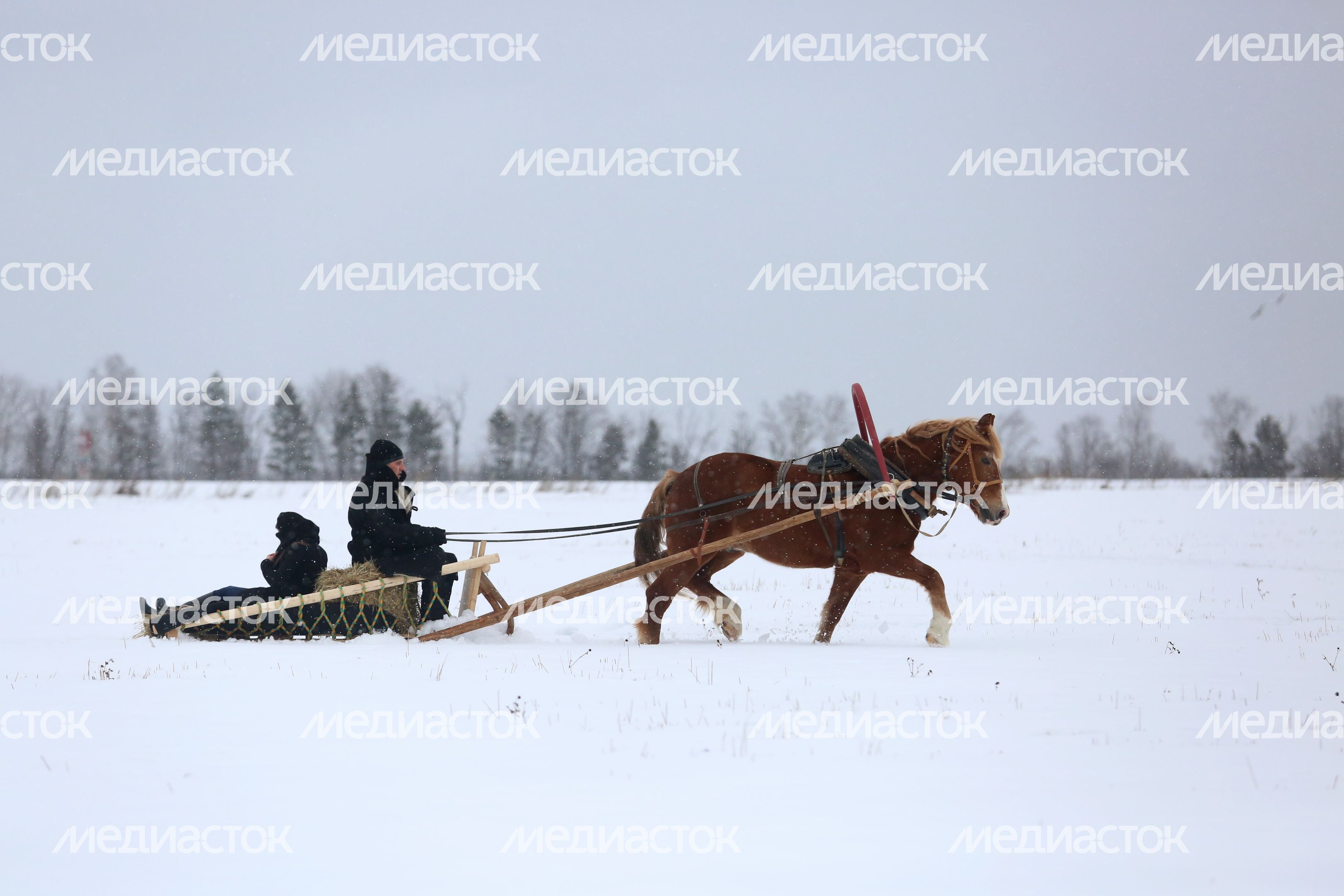 Партизанская деревня в парке «Патриот»